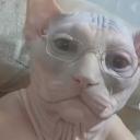 sebastian1233's avatar