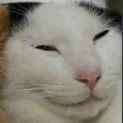 0xshilo's avatar