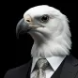 wh1tewing's avatar