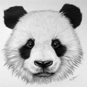 pandaspantler's avatar
