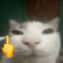 sleepyweng's avatar