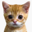 titi202336510's avatar