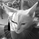 syzoxxxx's avatar