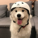 exroar's avatar