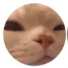 disguised_bread.'s avatar