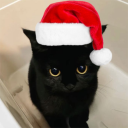 pandaaweh's avatar