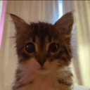 snenvy's avatar