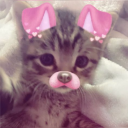 may.pal's avatar