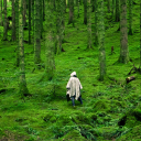 h99t's avatar